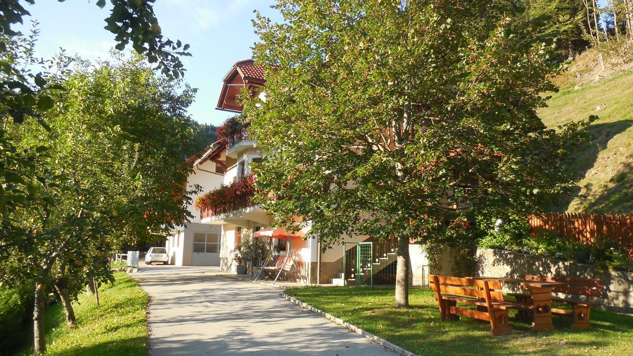 Apartments Savinja Luče Εξωτερικό φωτογραφία