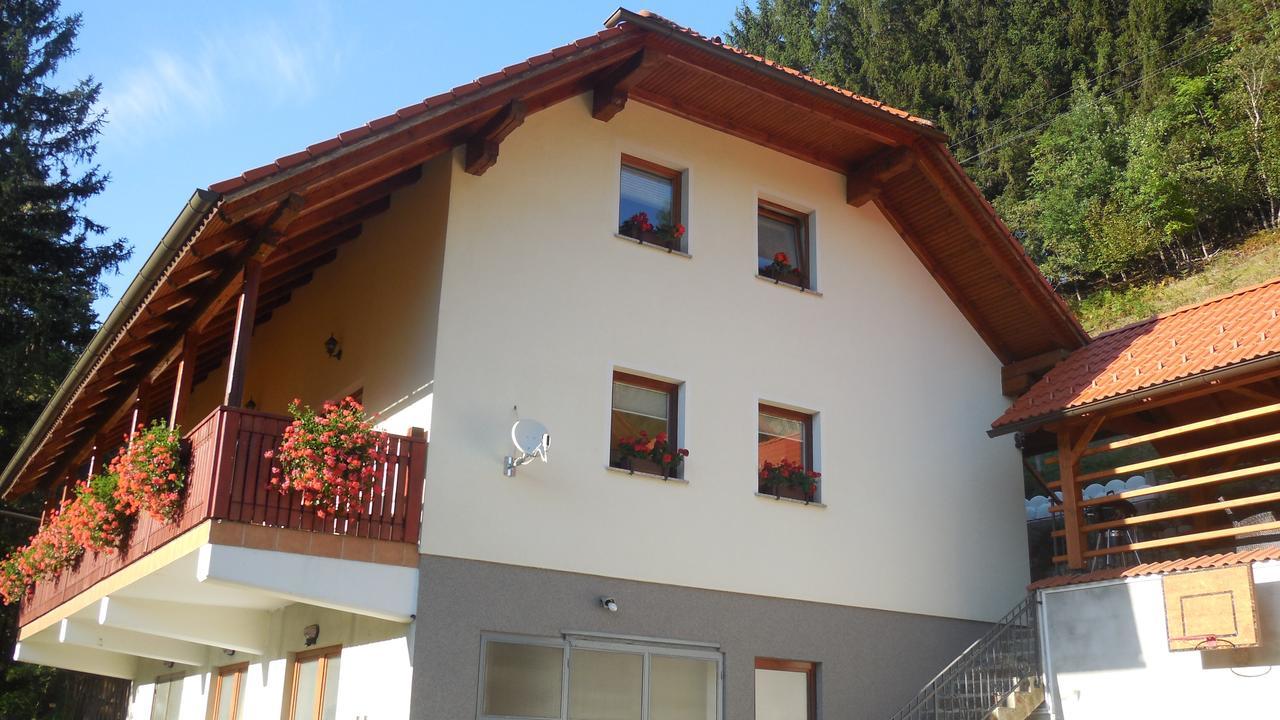 Apartments Savinja Luče Εξωτερικό φωτογραφία